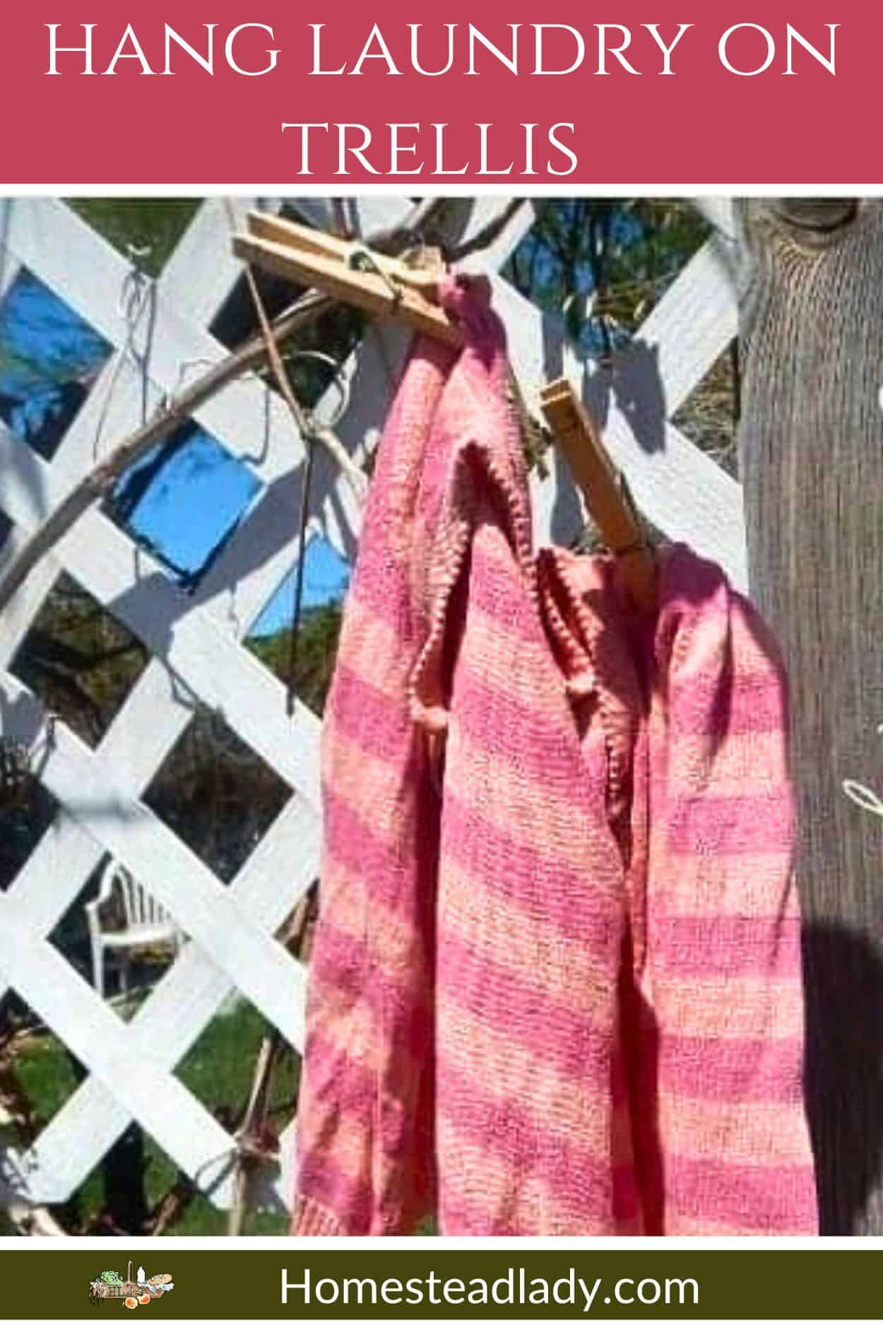 line drying laundry on vines and trellises