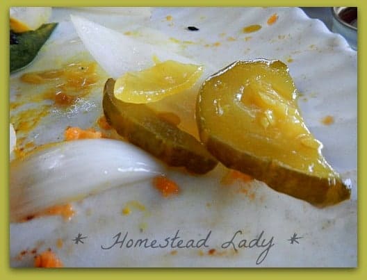 Gluten-Free-Pick-your-own-hamburger-buns-Homestead-Lady