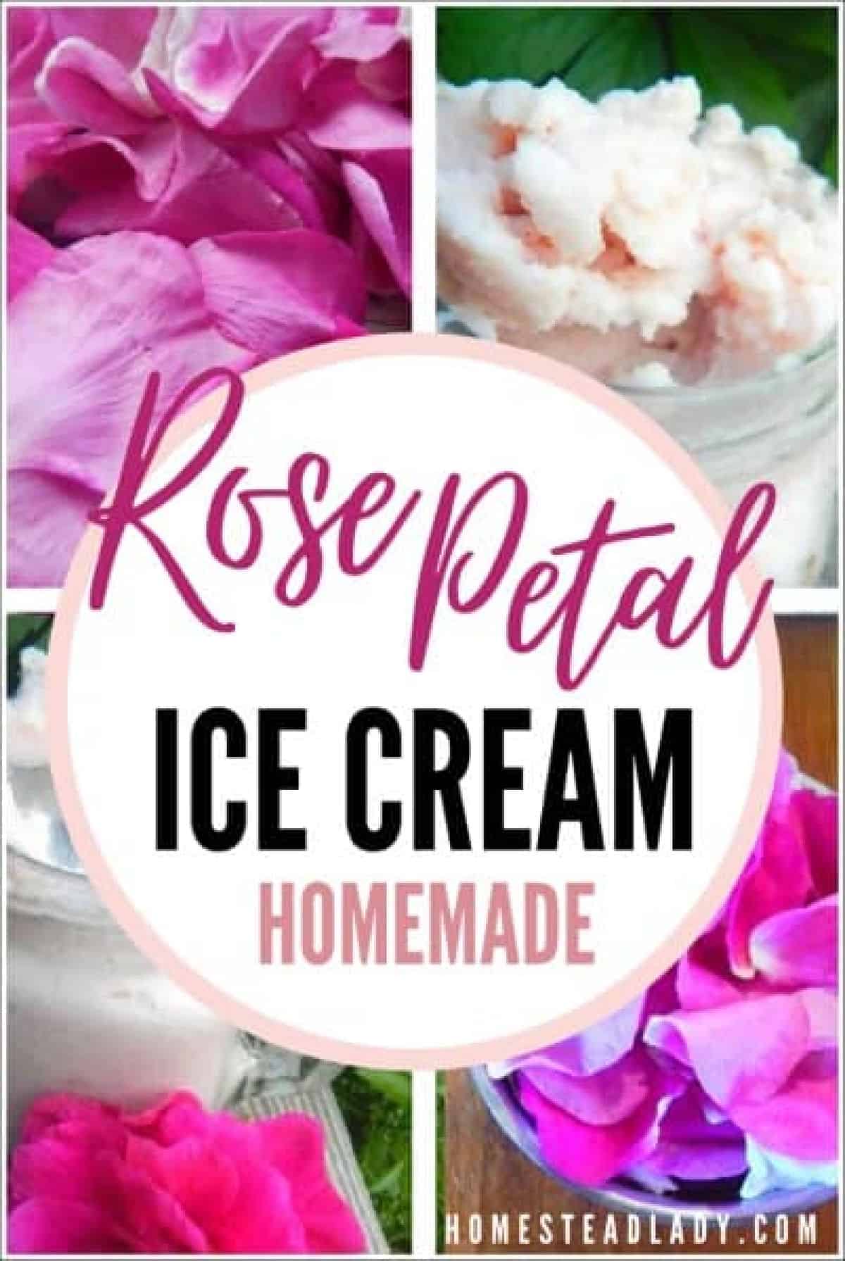 rose petal ice cream
