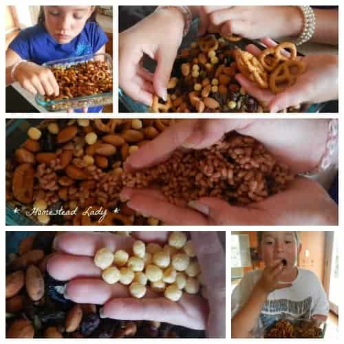 Trail Mix Kids Can Make - plus soaking and dehydrating tips - Homestead Lady