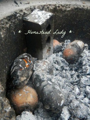Outdoor Cooking l Homestead Lady