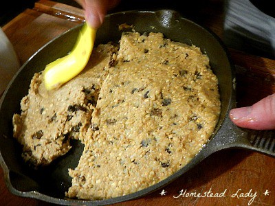 Campfire Cooking l Rob Roy Cookies l Can make them in cast iron over hot coals l Homestead Lady