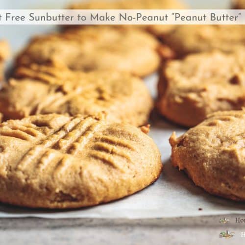 sunflower seed butter cookies