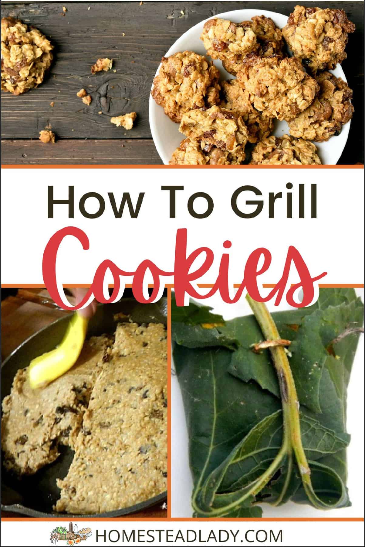 grilled cookies in a cast iron pan, on a plate, and wrapped in grape leaves