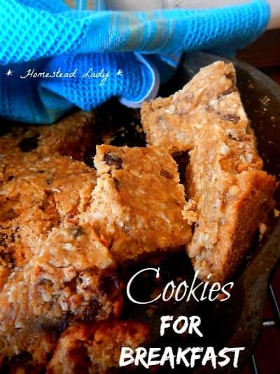 Campfire Cooking l Rob Roy Cookies make a great breakfast food l Homestead Lady