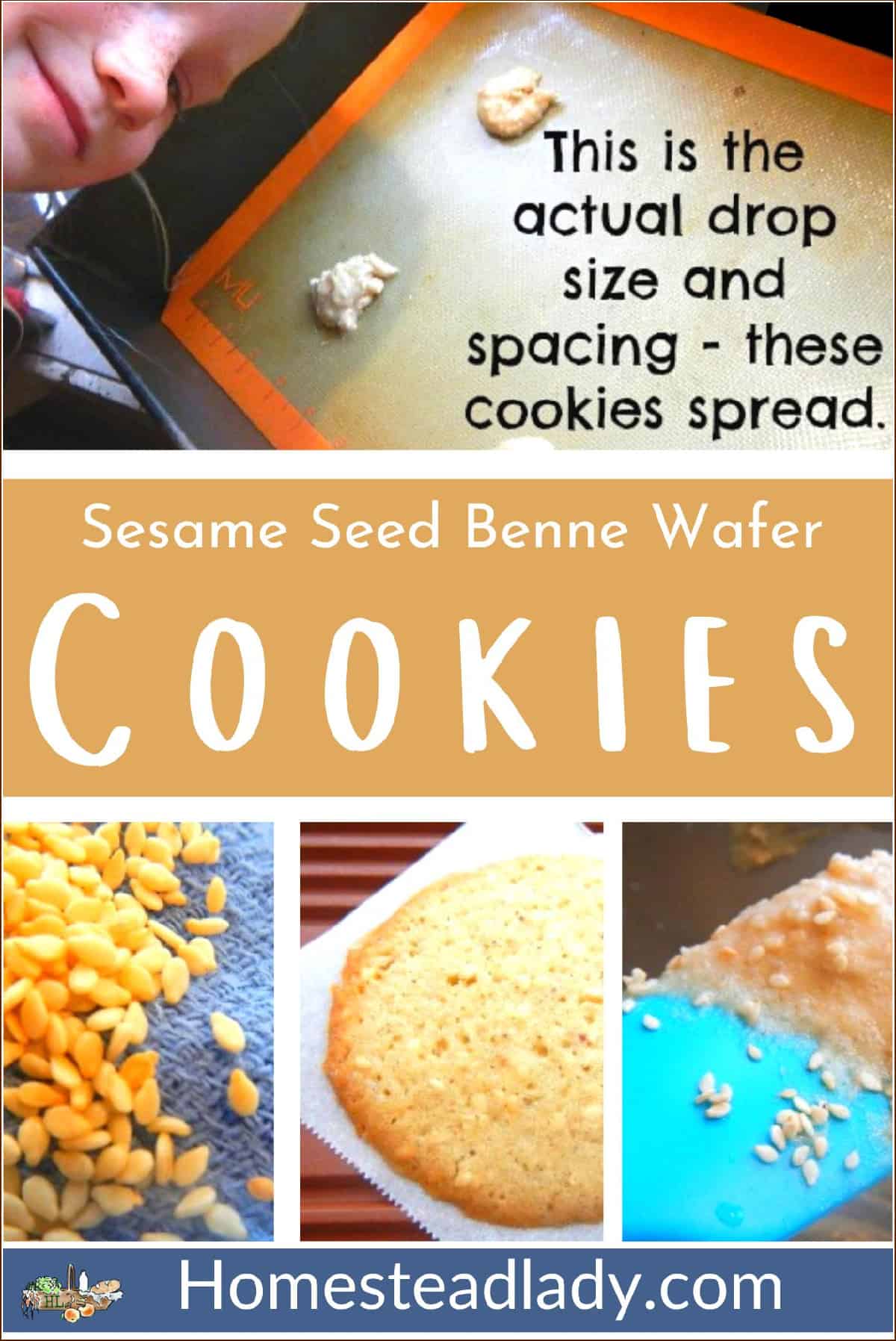 sesame seeds, sesame benne wafer batter on a spatula, sesame benne wafer cookie on a table