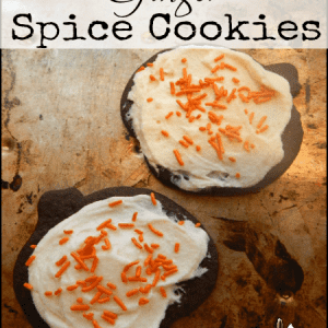 spice cookies