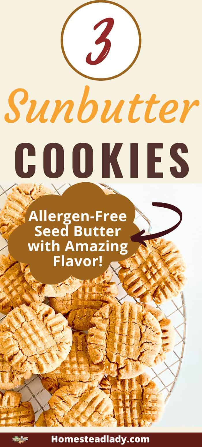 sunbutter cookies on the plate