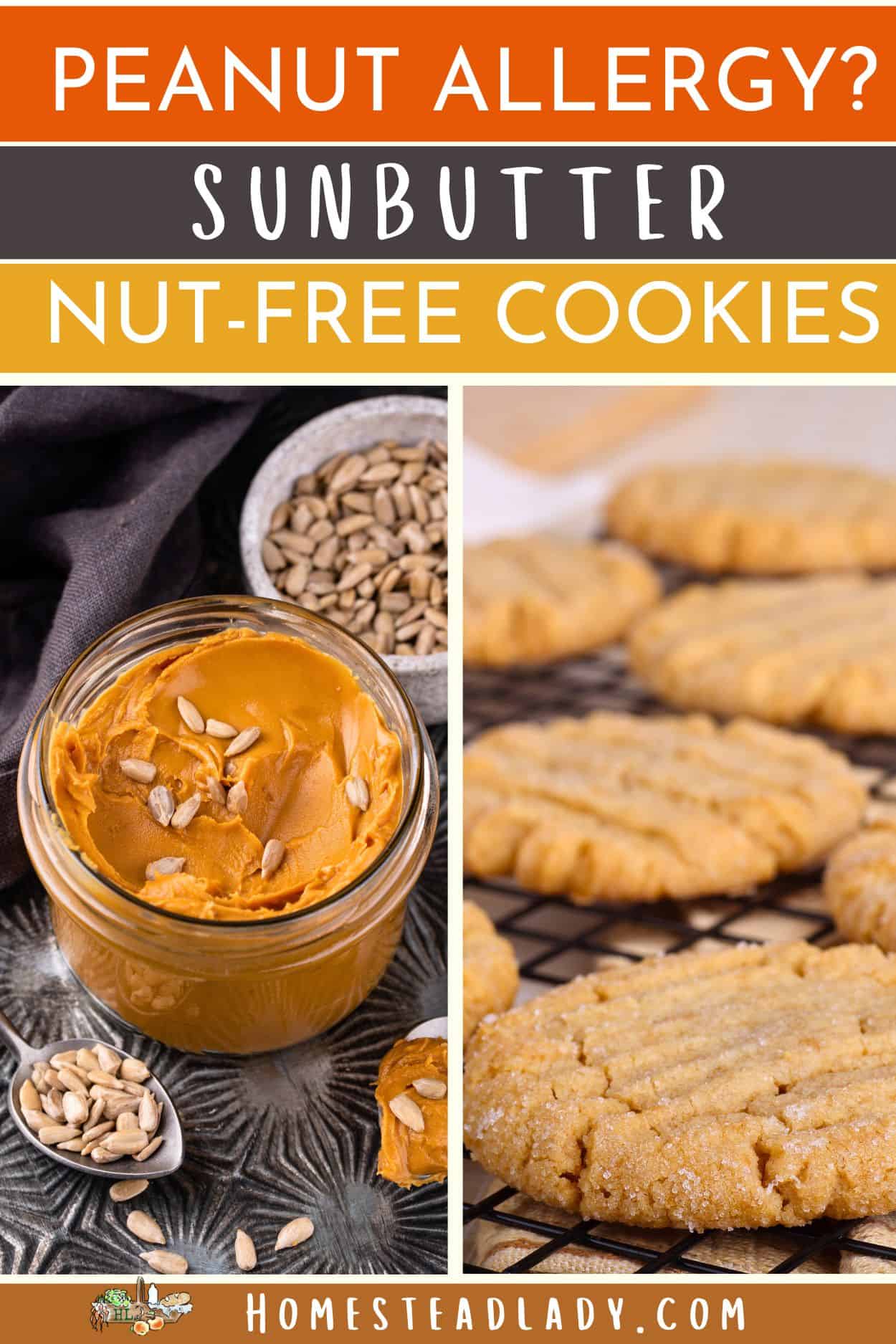 sunflower seed butter in a jar with sunbutter cookies on a bakers rack