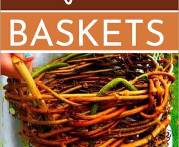 homemade vine basket