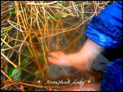 kid's foot inside a vat of basket willow filled with water