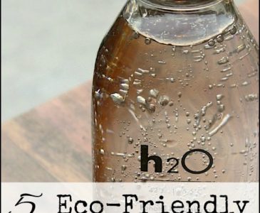 5 Eco Friendly Products for the Home and Family l Green the homestead with these non=plastic products l Homestead Lady.com