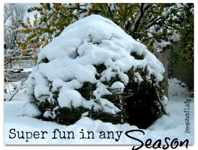 DIY Willow Playhouse l Four seasons of fun l Homestead Lady (.com)