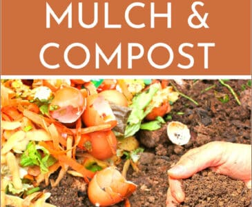 someone holding compost