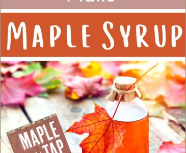 jar of homemade maple syrup with fall maple leaves