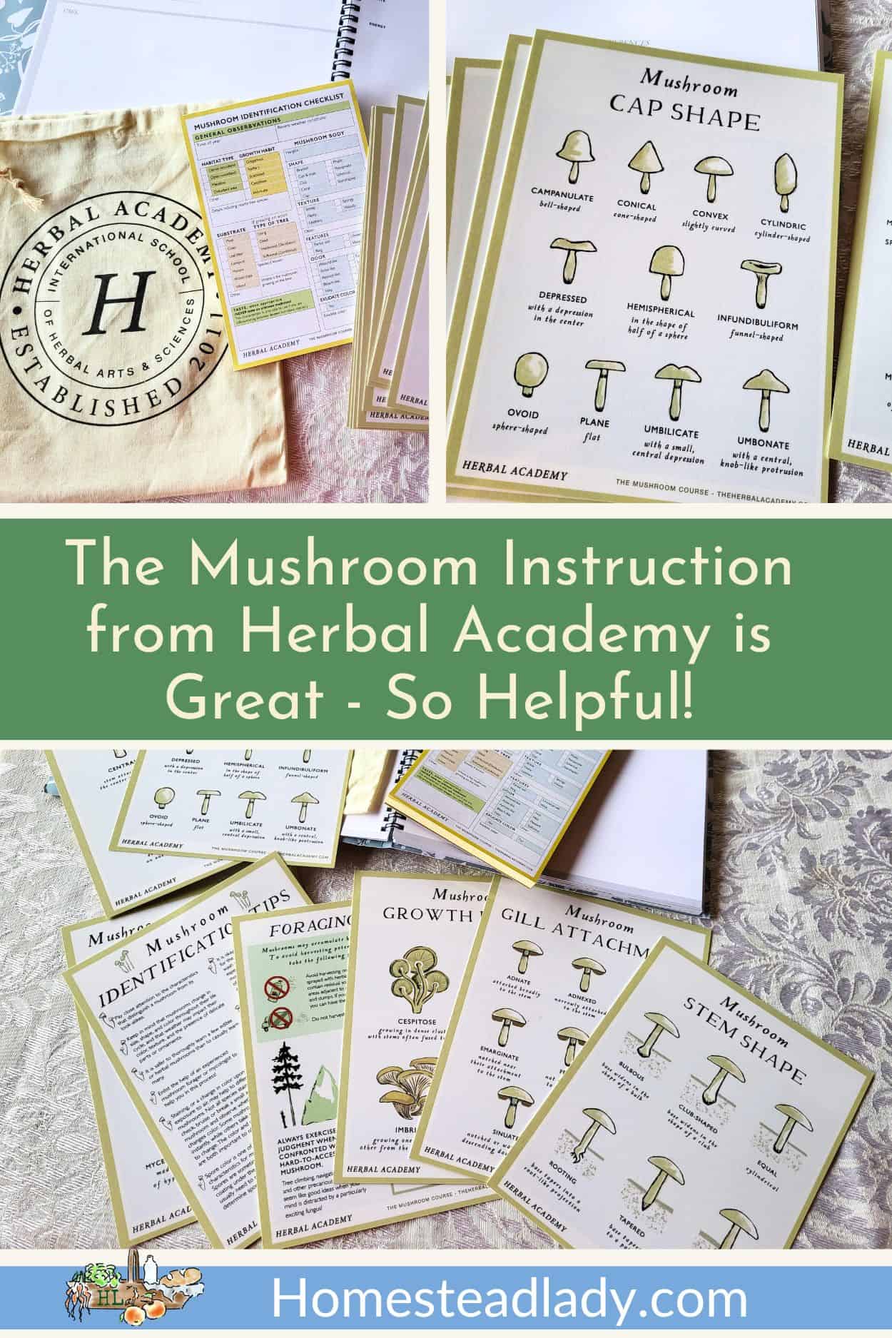 Herbal Academy mushroom course material on a table