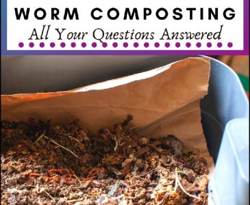 vermicompost bin