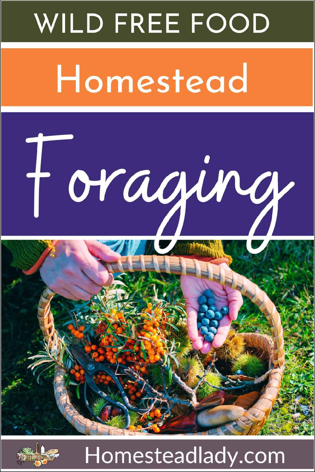 a basket full of free food foraged