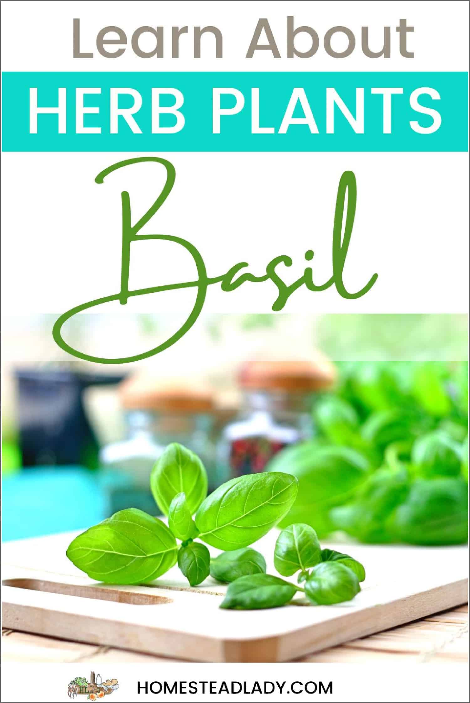 basil on a cutting board