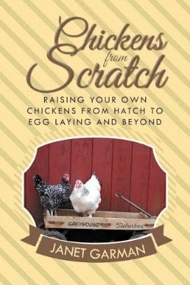 Chickens for Sale l Help l Chickens From Scratch by Janet Garmen l Review l Homestead Lady (.com)
