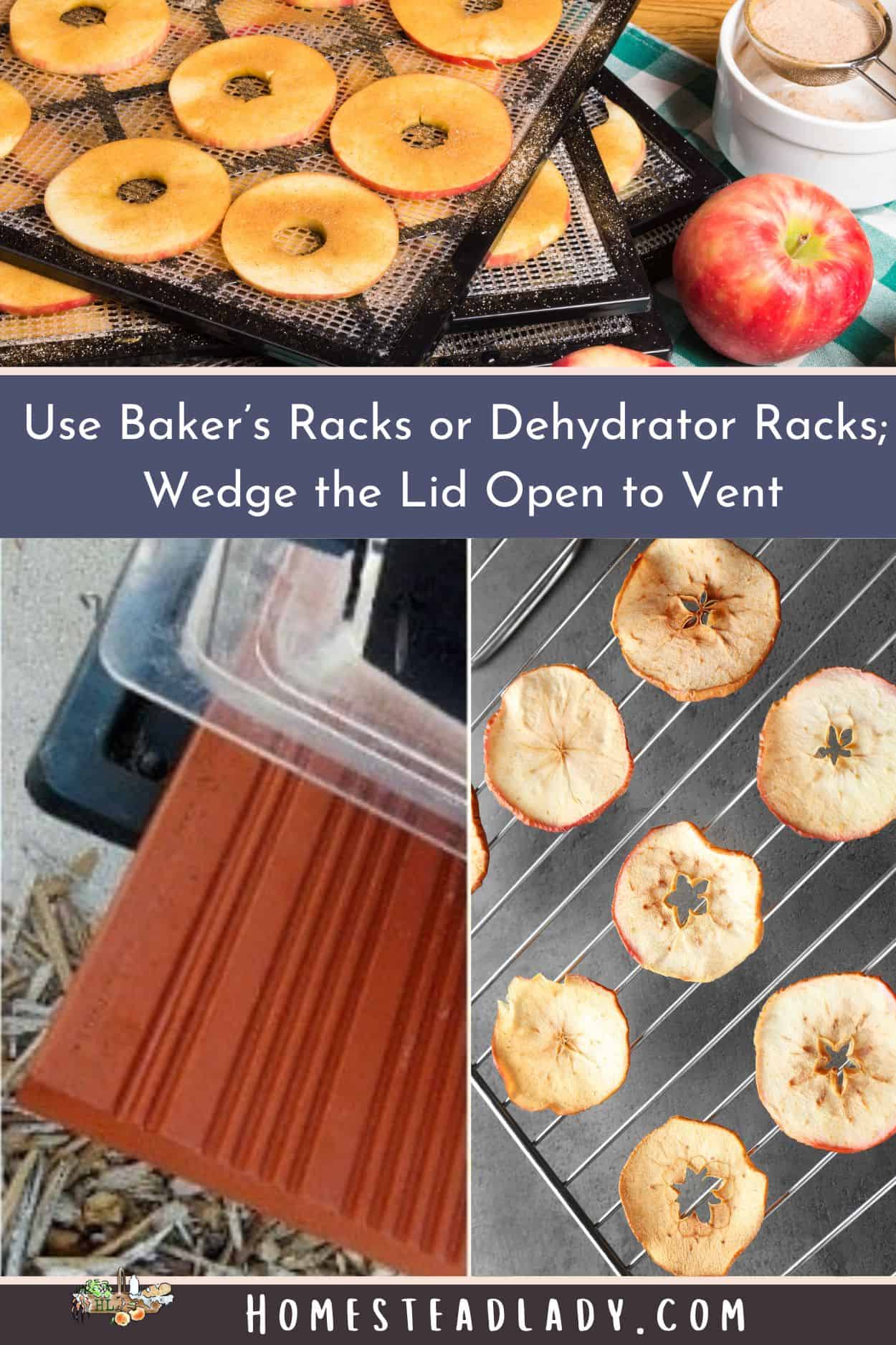 solar oven apple chips on a baking rack and with the solar oven wedged open.