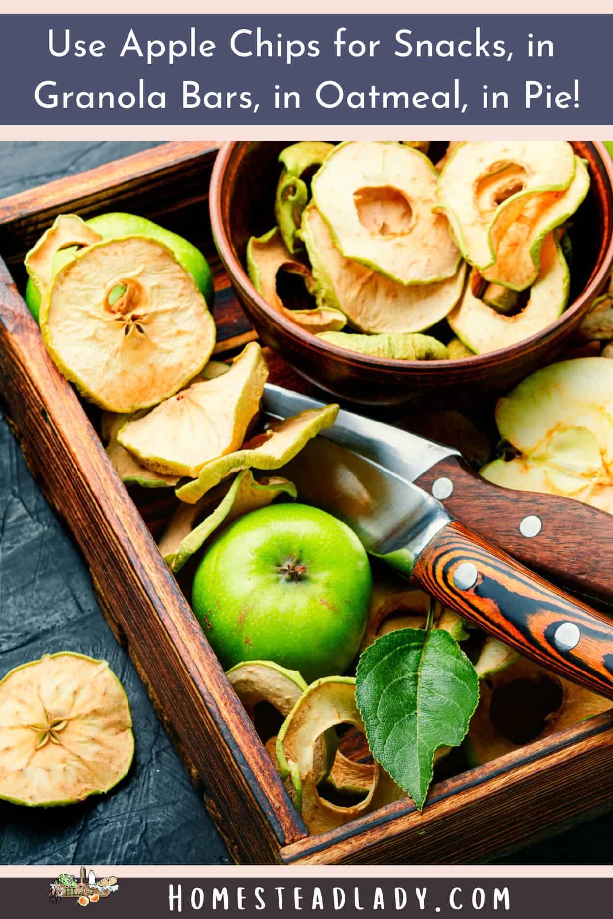 green apples and solar oven apple chips in a bowl and wooden tray 