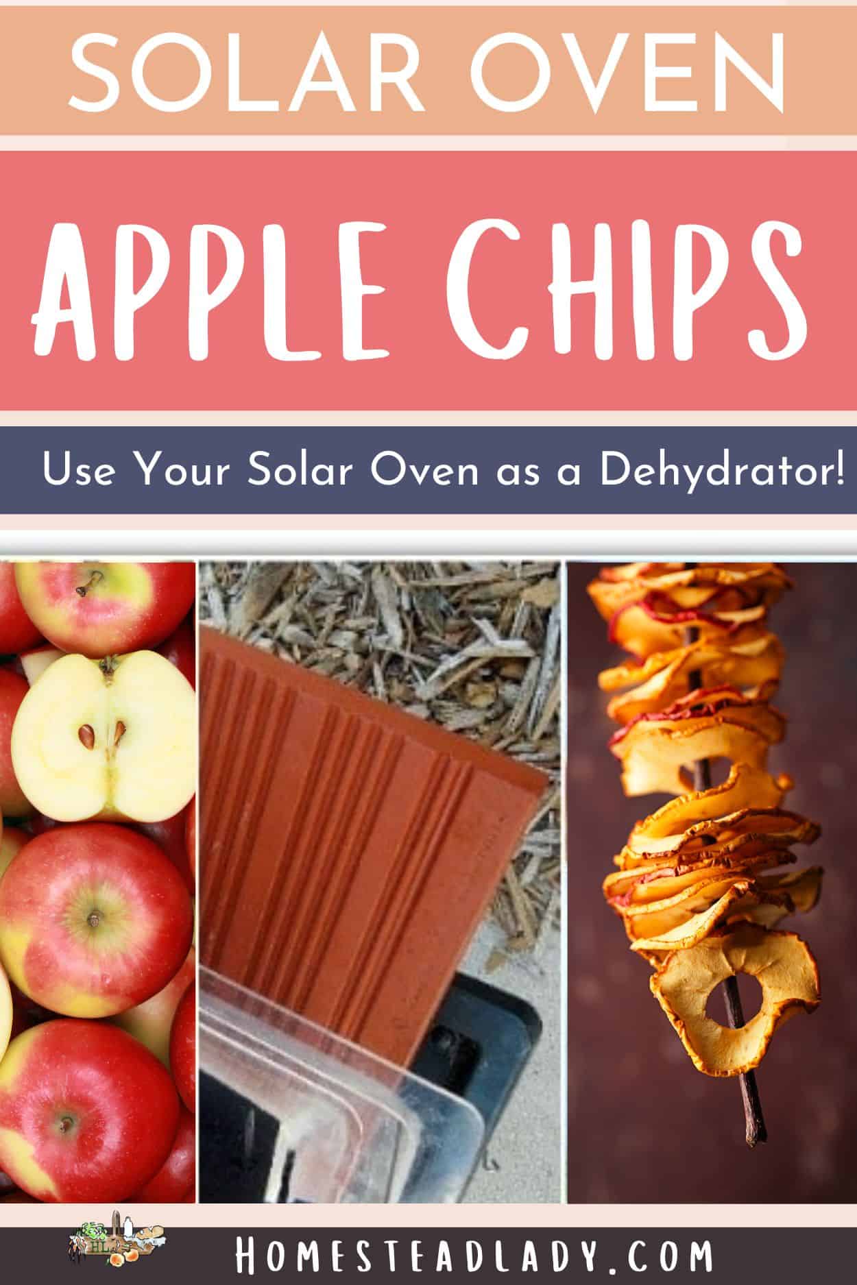 solar oven apple chips on a string; solar oven wedged open; sliced apples