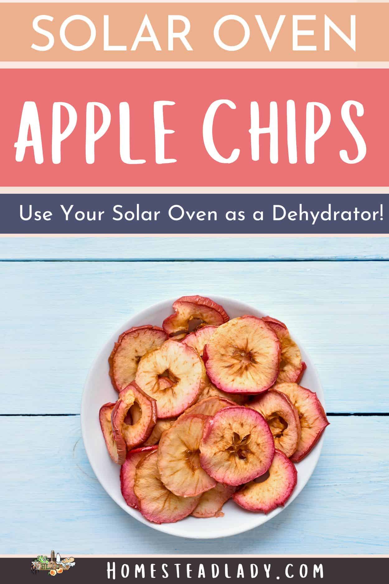 solar oven apple chips in a white bowl