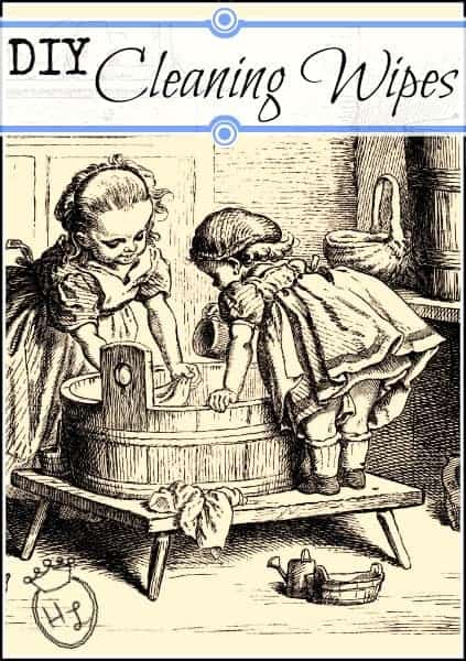 Cleaning Supplies DIY Cleaning Wipes l Homestead Lady (.com)