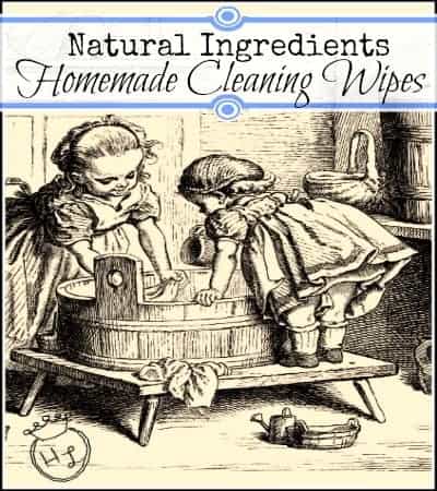 Cleaning Supplies DIY Cleaning Wipes with natural ingredients l Homestead Lady (.com)