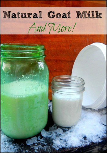 Naural Goat Milk l Plus a review of Raising Goats Naturally l Homestead Lady (.com)