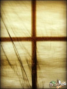 Maundy Thursday l Allow the dark to celebrate the Light this Easter l Homestead Lady (.com)