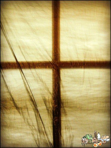 Maundy Thursday l Allow the dark to celebrate the Light this Easter l Homestead Lady (.com)