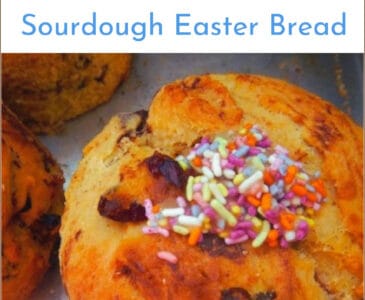 kulich Easter bread with sprinkles