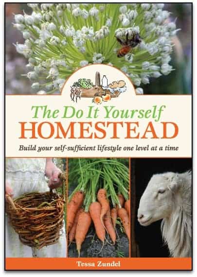 The Do It Yourself Homestead by Tessa Zundel l Your Homestead Guide Book l 4 Levels of Homesteading l 8 Topics and More