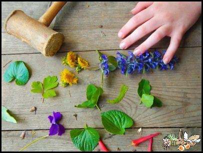leaves and flowers with wooden pounder and girl's hand