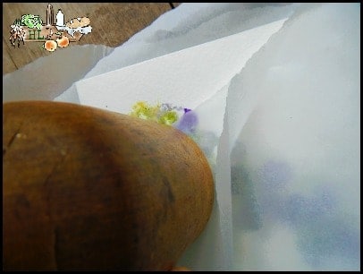 pounding violets with wooden pounder onto paper