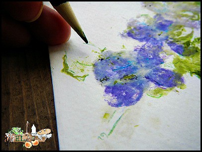 violets and violet print paper