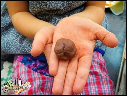 Stamped Medallion Seed Bombs l Great clay craft for kids l Homestead Lady (.com)