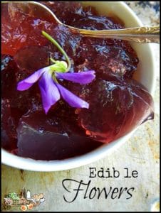 Violet gelatin in bowl