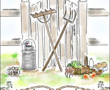 The Do It Yourself Homestead l The book of self sufficient living l Helps you homestead wherever you are l Homestead Lady (.com)