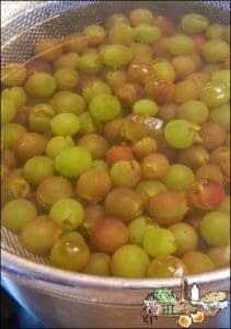 How to make homemade organic raisins l Pop the skins to make the grapes easier to dehydrate l Homestead Lady (.com)