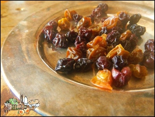 Make Your Own Organic Raisins l Homestead Lady (.com)