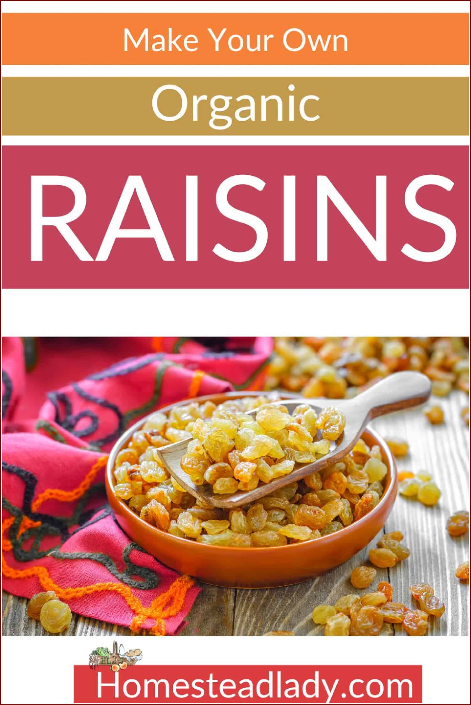 raisins in a bowl on a table