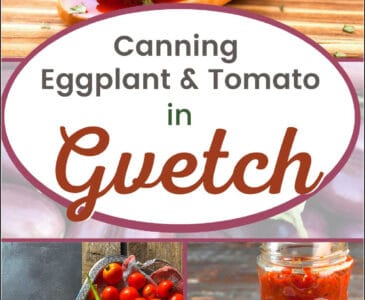 eggplant, tomato on a board, vegetable relish on a spoon, in a jar