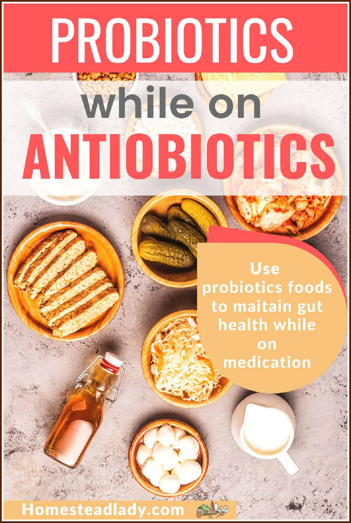 assortment of probiotics foods like kefir, kimchi, raw vinegar