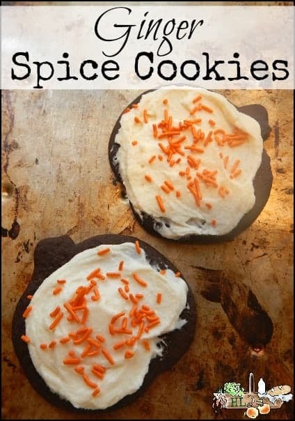 soft-ginger-spice-and-molasses-cookies-l-a-recipe-from-my-family-to-yours-l-homestead-lady-com