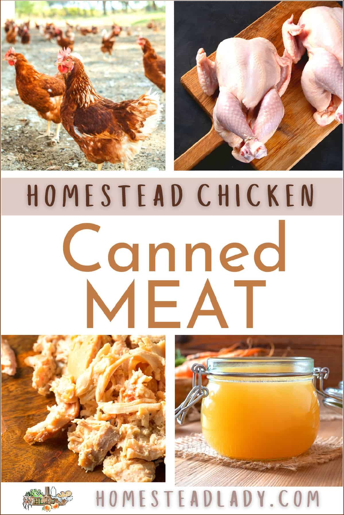 live chicken, butchered chicken, cooked chicken ready for canning, canned chicken broth