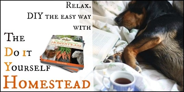 The Do It Yourself Homestead Book l Homestead Lady