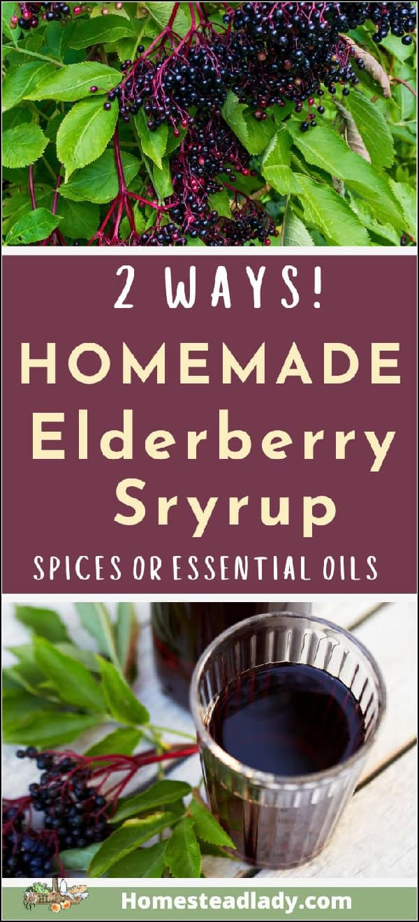 elderberry syrup in a cup and a bottle on a table